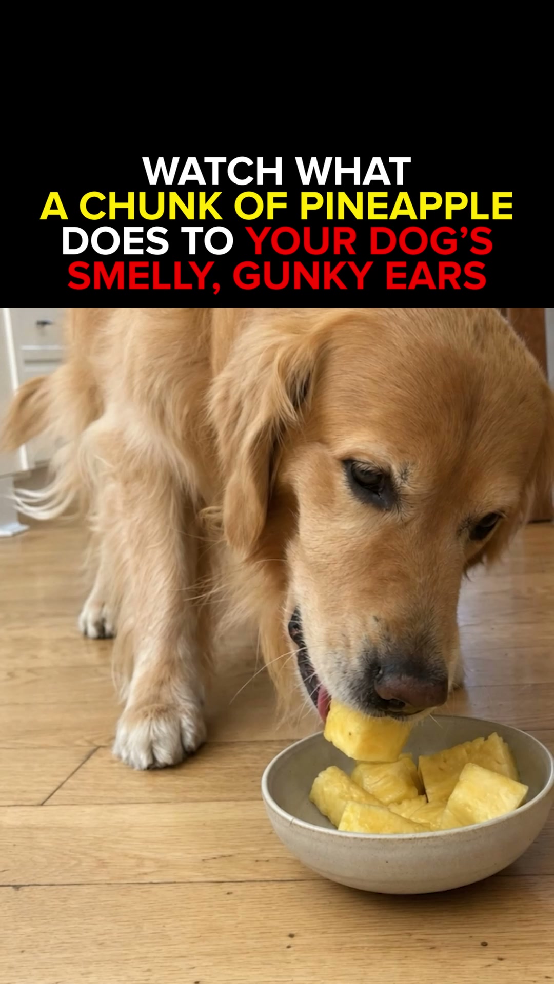 Perfect for sensitive tummies!