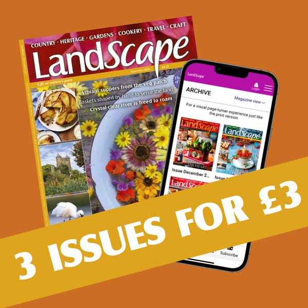 3 issues for just £3
