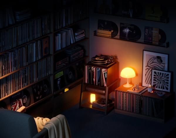 Not Just a Stand—A Tribute to Vinyl
