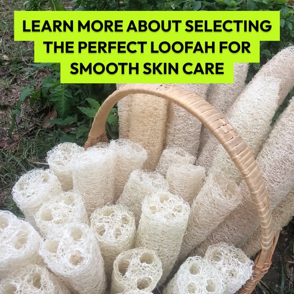 Learn more about selecting the perfect loofah for smooth skin care