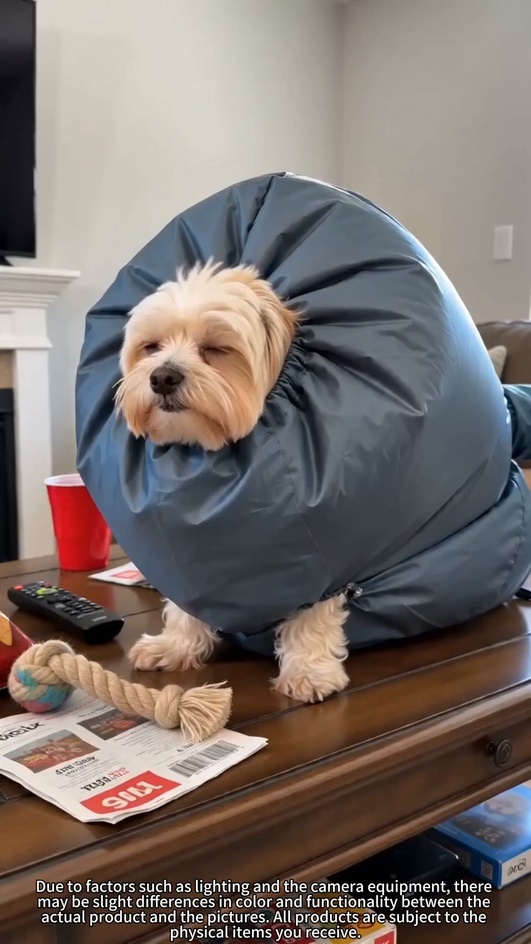 Hands-Free 360° Pet Drying