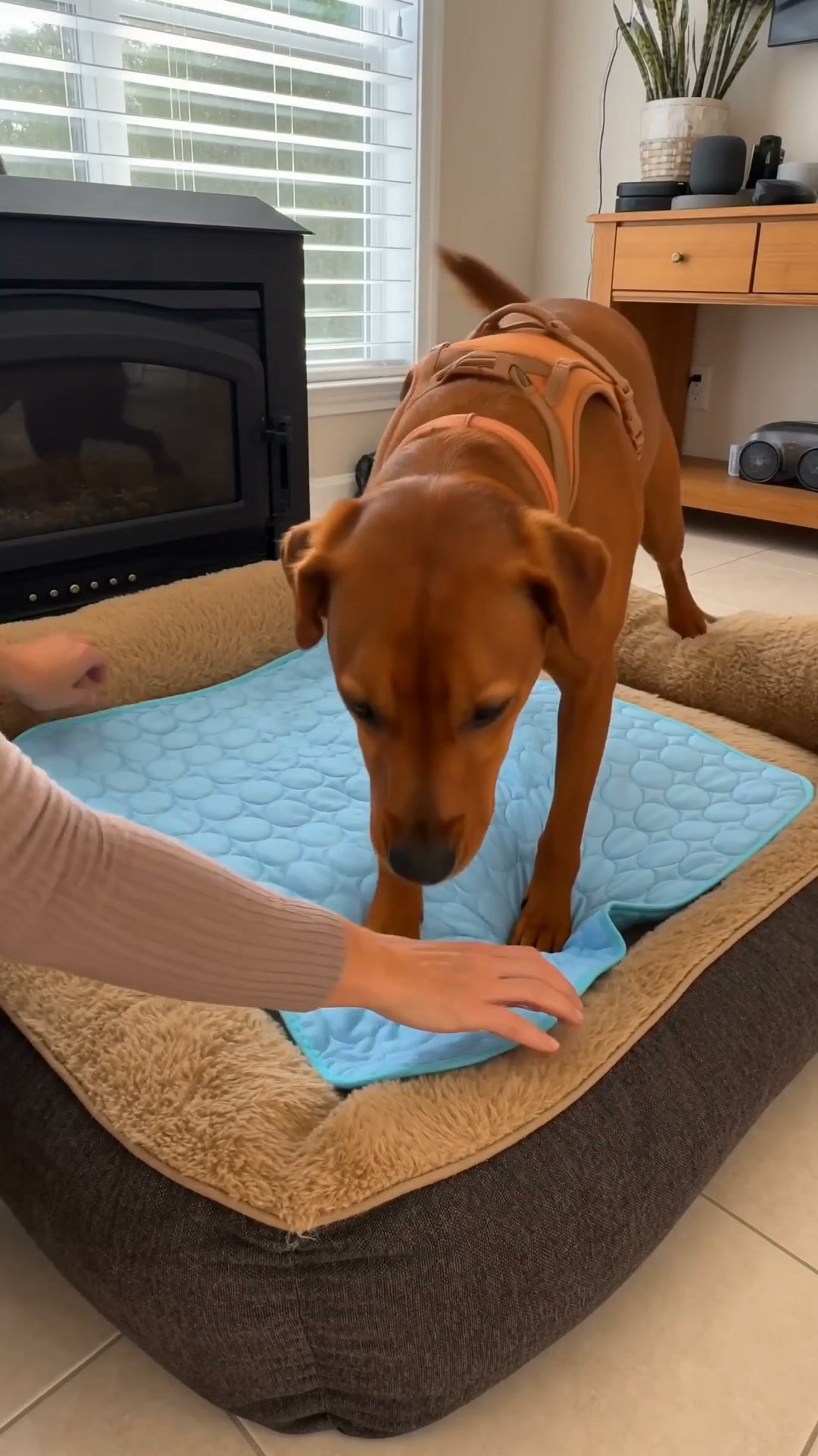 A Cooling Mat That Actually Feels Cool
