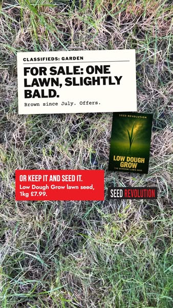 Find Your Perfect Lawn Mix