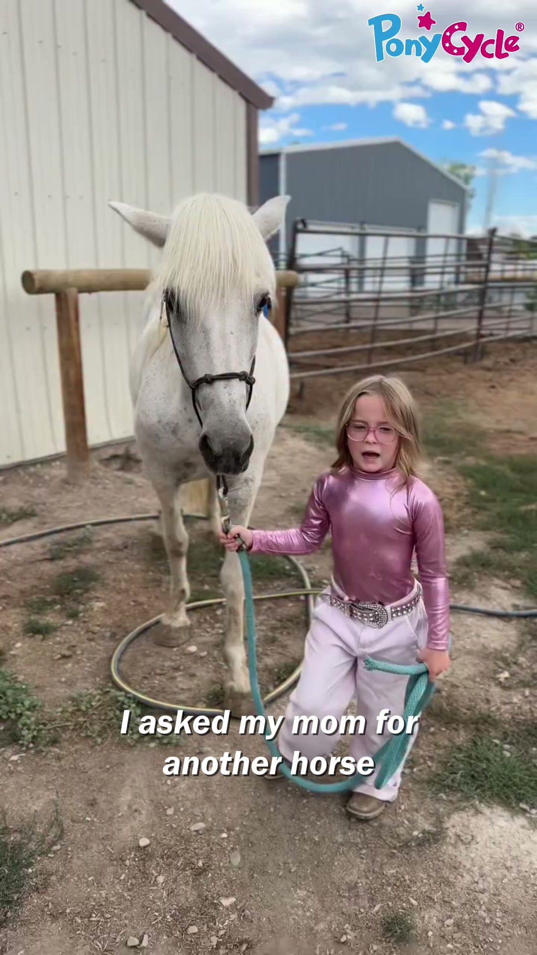 Their Own Pony