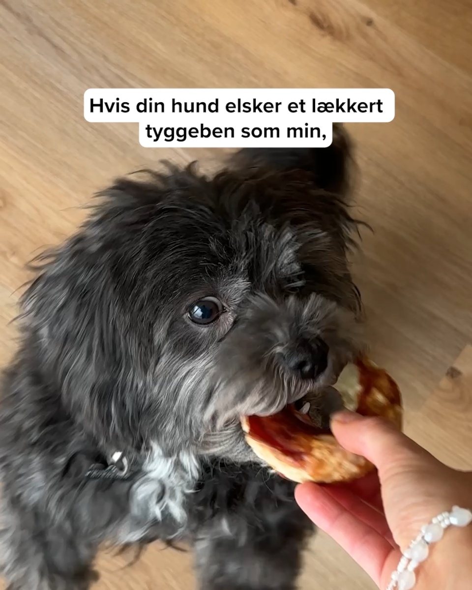 Din hunds nye favorit-snack?