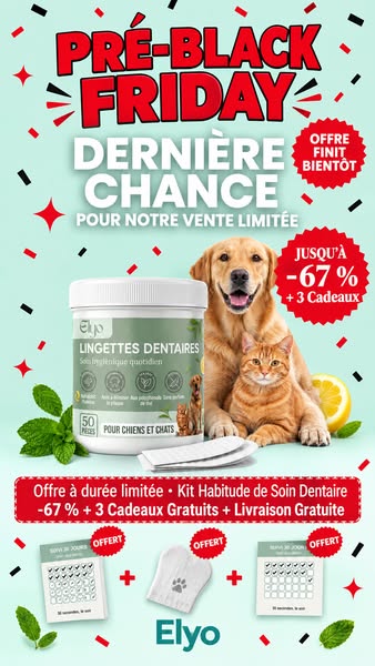 PRÉ-BLACK FRIDAY : 3 achetés + 3 OFFERTS