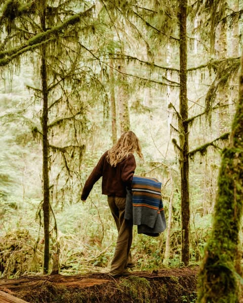 Pendleton National Park Blankets