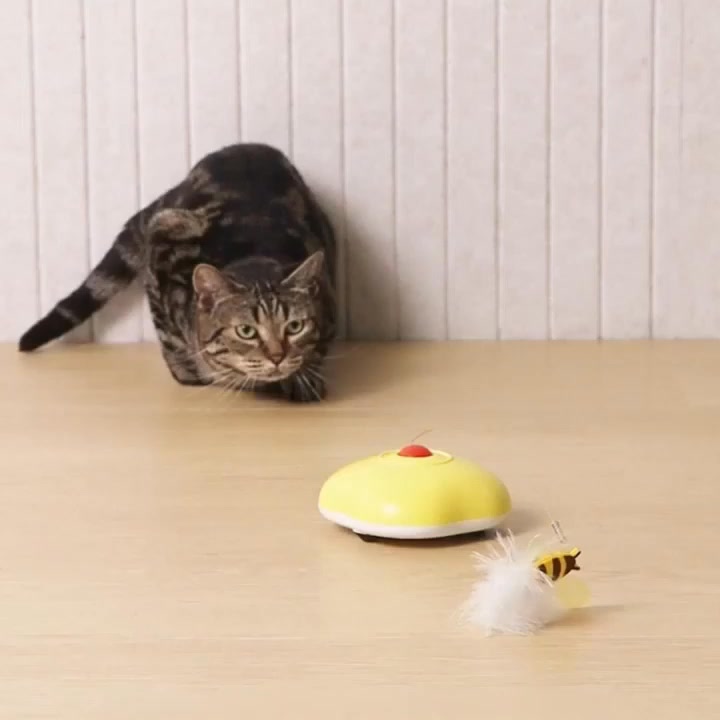 Cat's New Best Friend: Smart Bee Toy