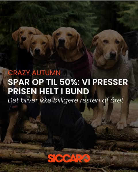 CRAZY AUTUMN: Spar op til 50% på Siccaro.dk