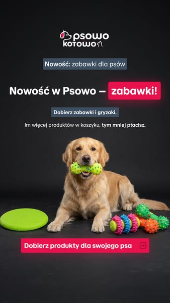 Kup teraz ser himalajski dla psa