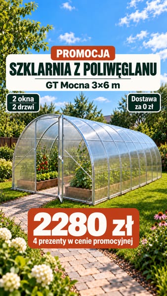 Kliknij i Sprawdź Wszystkie Ceny