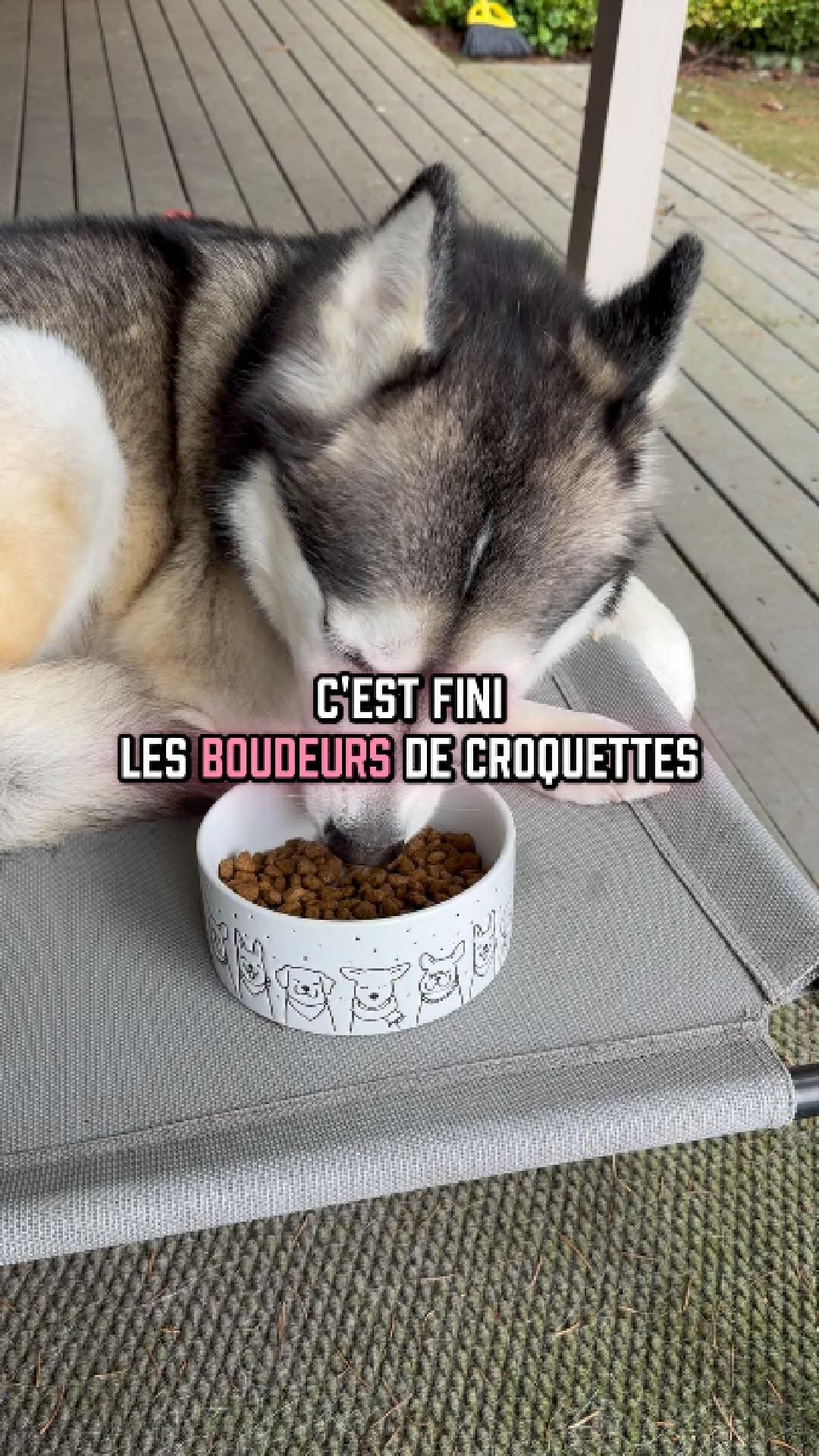 70% jusqu'à dimanche