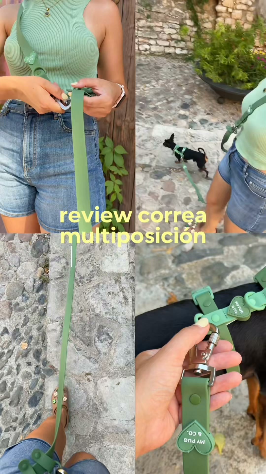 arneses Waterproof x My Pug & Co