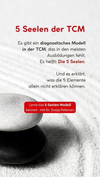 [NUR JETZT FÜR 49€] 5-Seelen-Kurs TCM