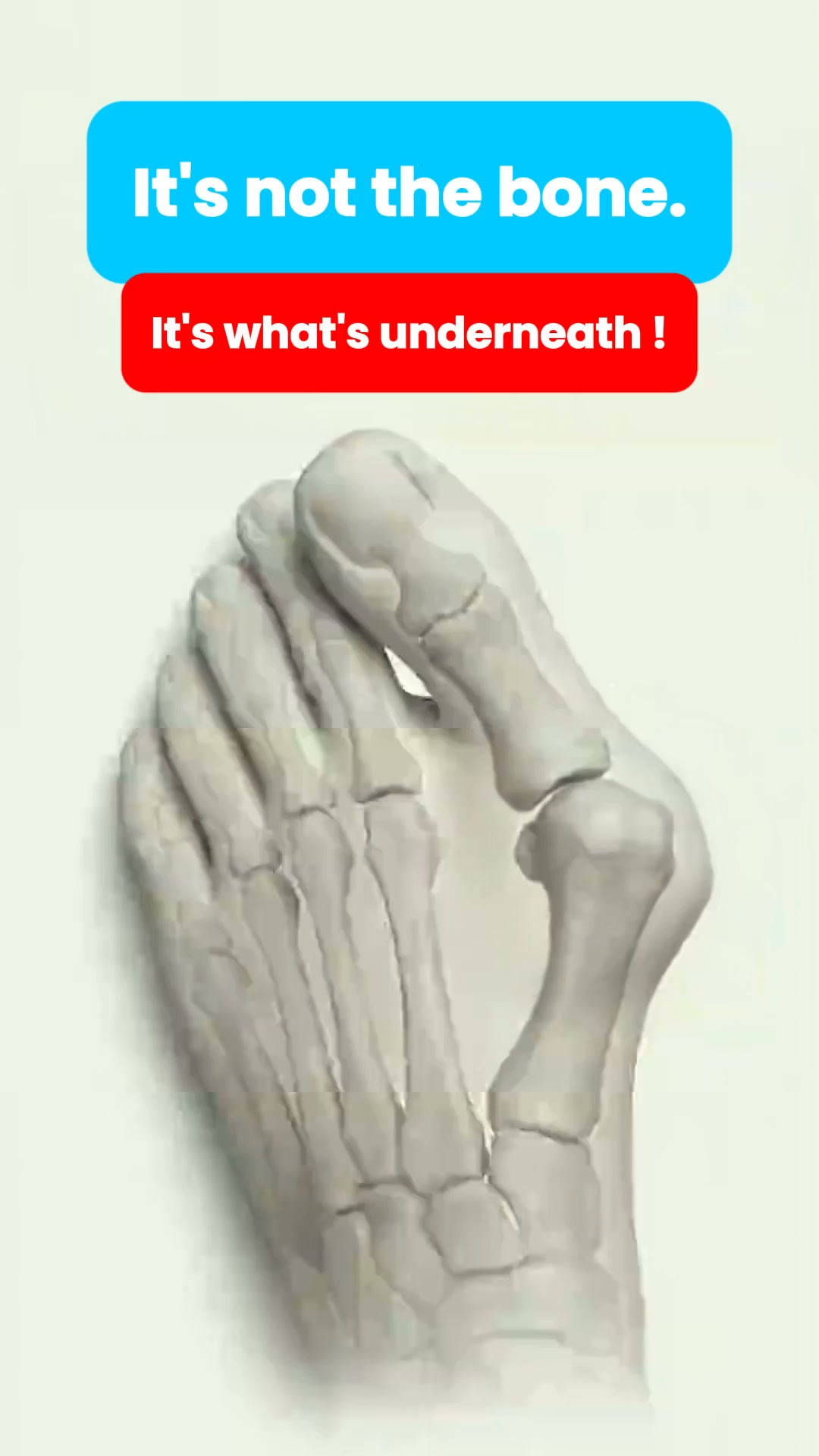 It's not the bone. It's a muscle.