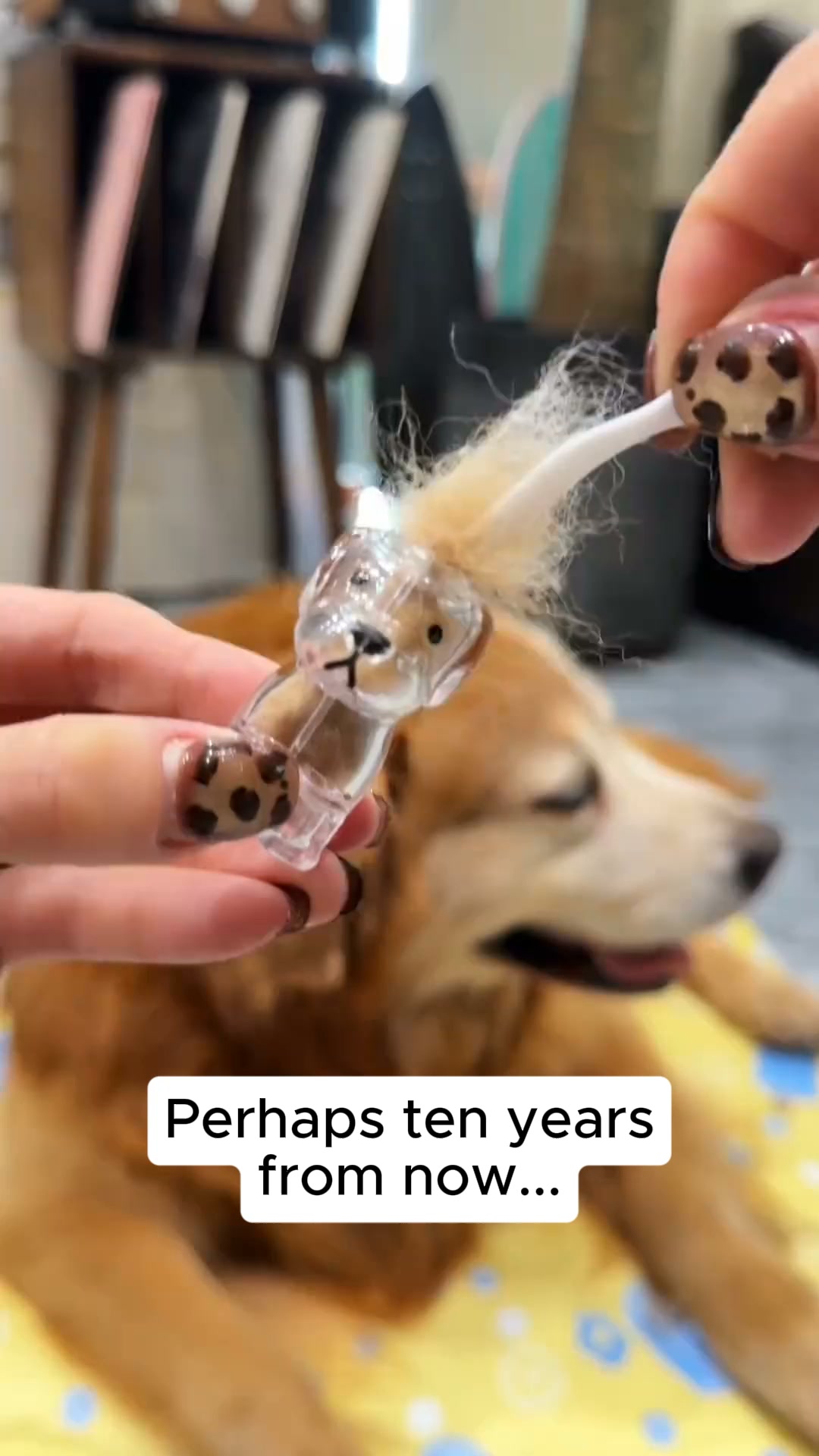 #1 Pet Memory