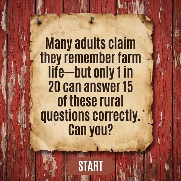 Old Farm Life