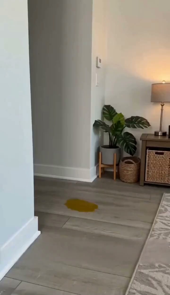 Anúncio de Nishomee