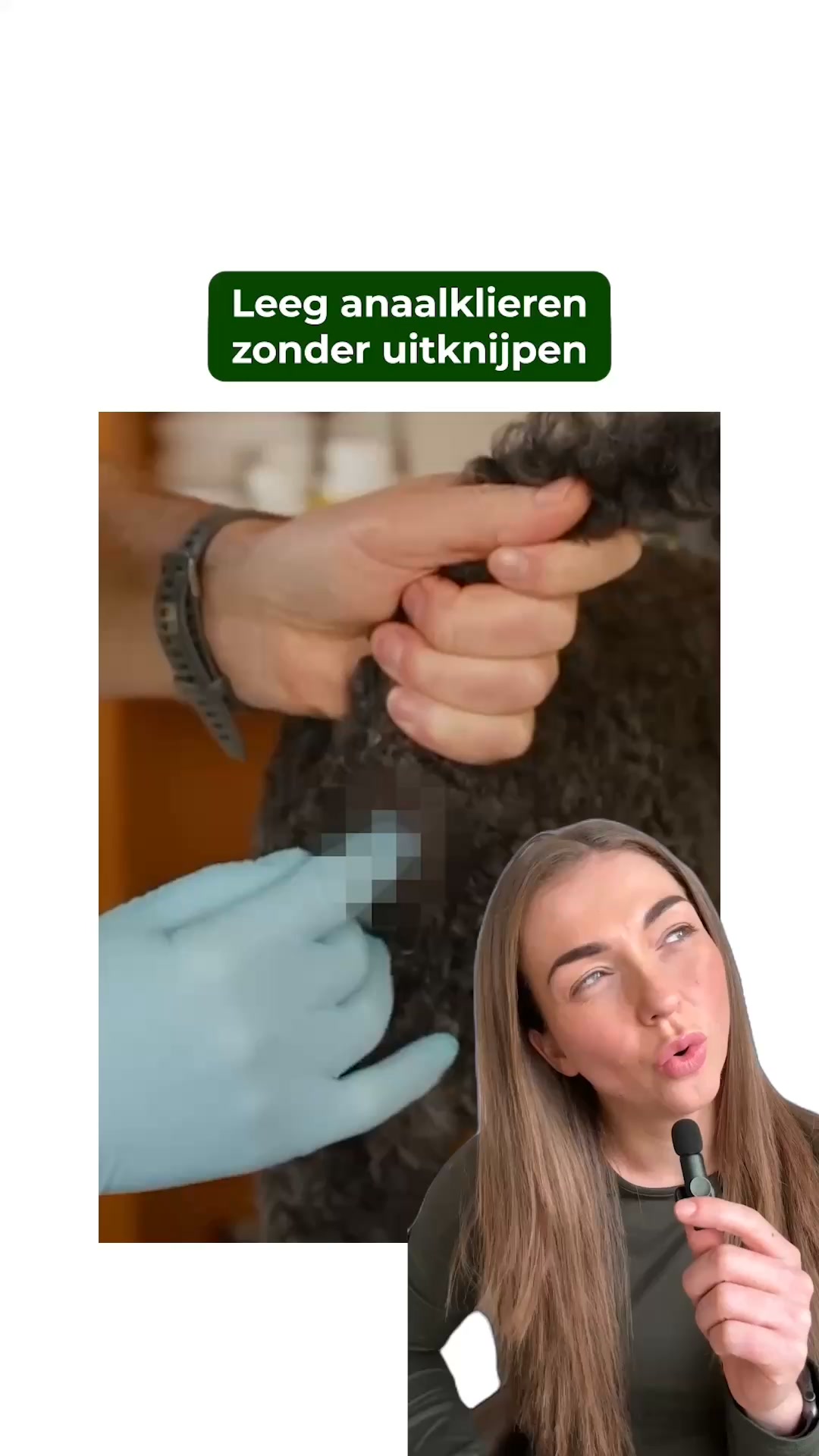 Blijft je hond sleetje rijden? Kijk dit even
