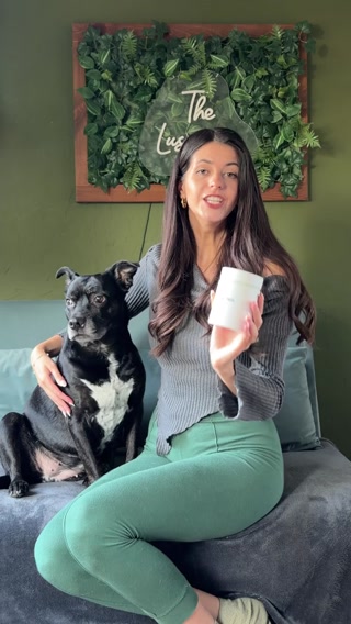 Itch-free dog or your money back.