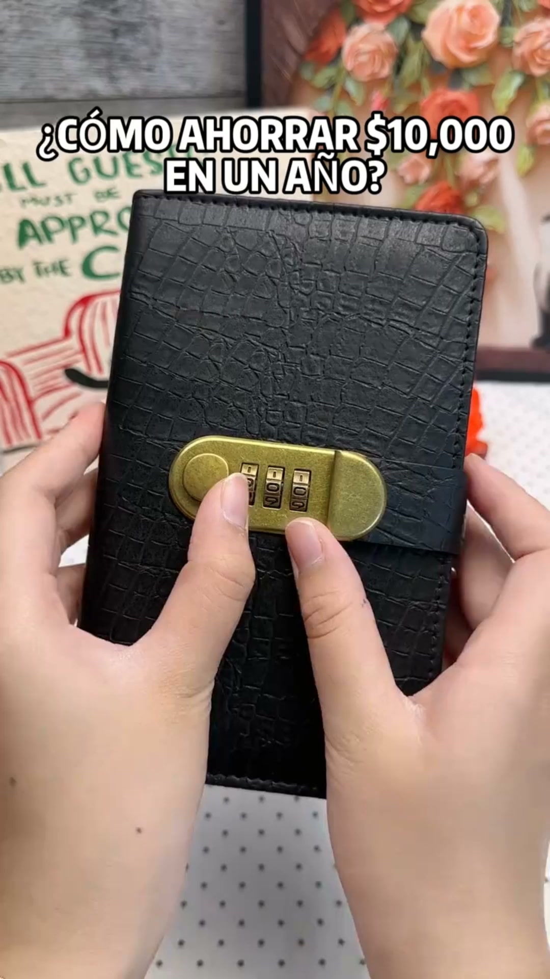 100 Transparent Pocket Currency Collectors Album