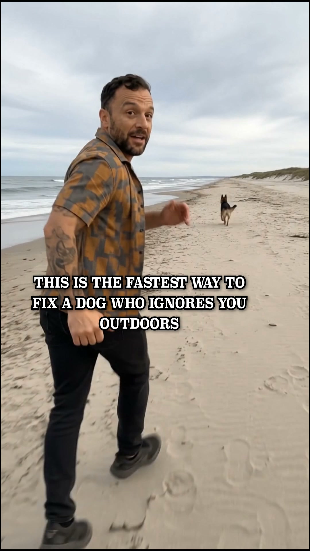 Start Service-Dog-Level Challenge ▶