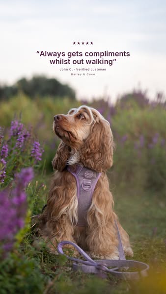 Loved on Real Walks