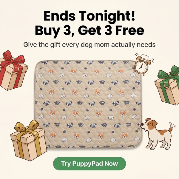 3 FREE GIFTS WITH EVERY ORDER