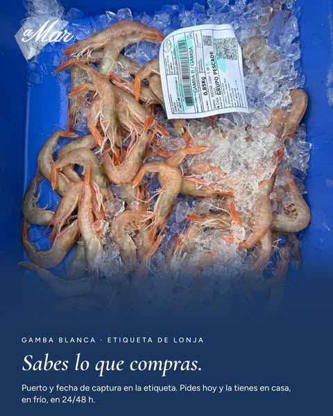 Gamba blanca con etiqueta de lonja
