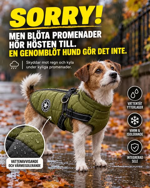 Se erbjudandet