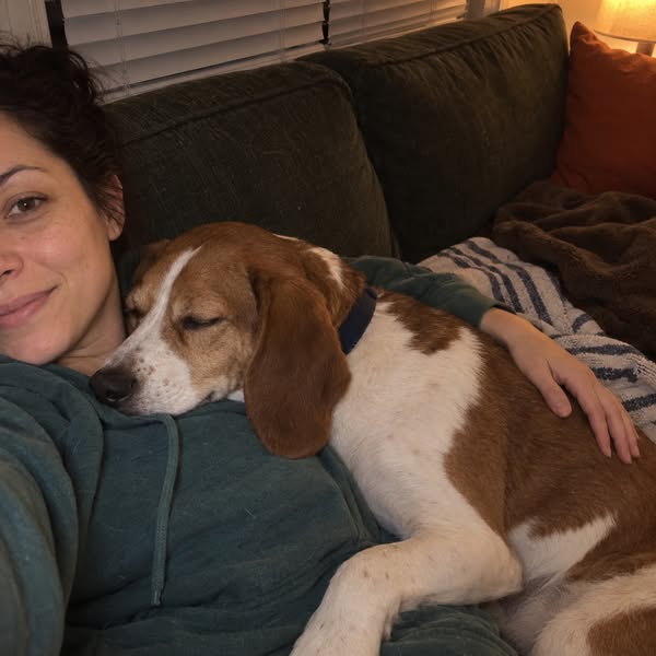 Pandemic dog? Please read