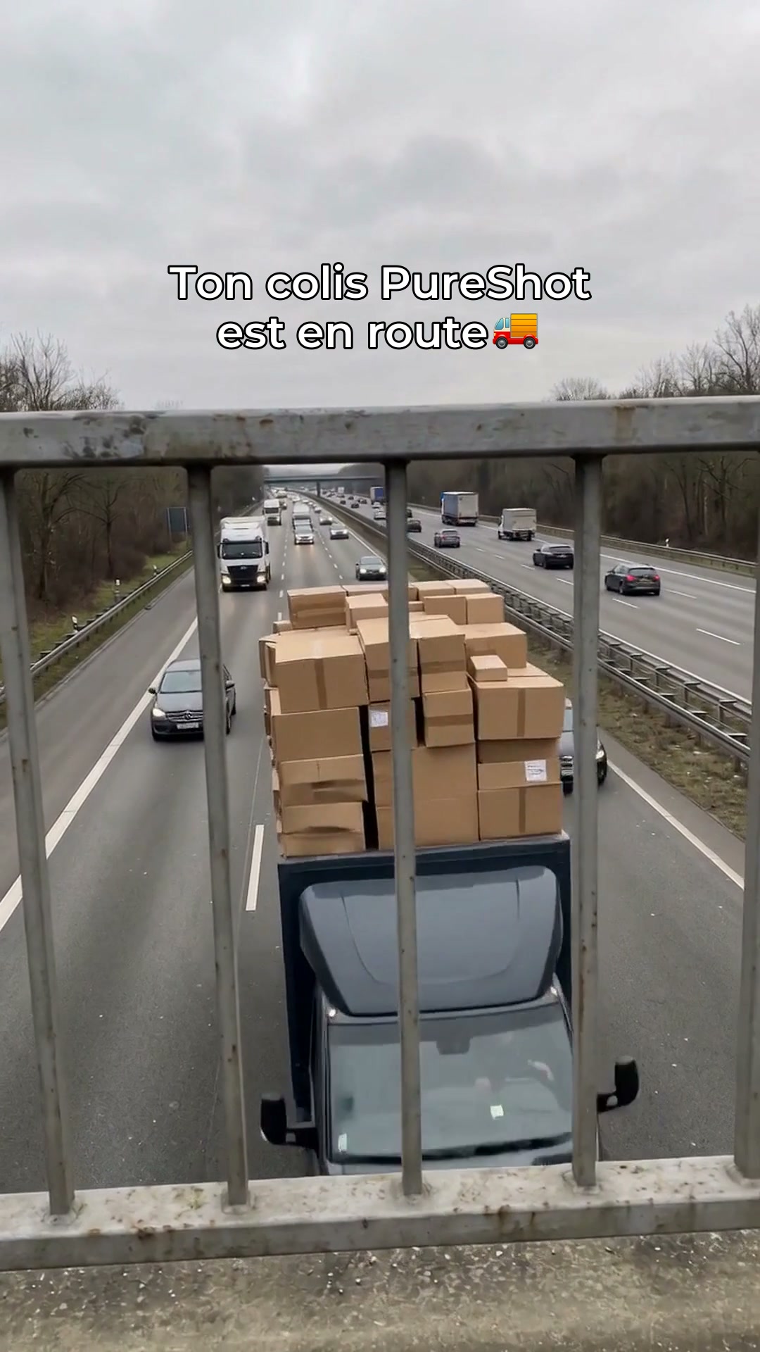 Élimine vite les odeurs de chien et chat !