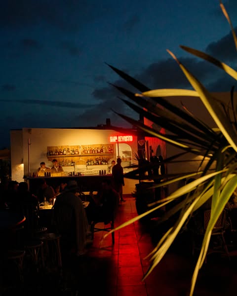 Summer awaits you at Montesol Experimental