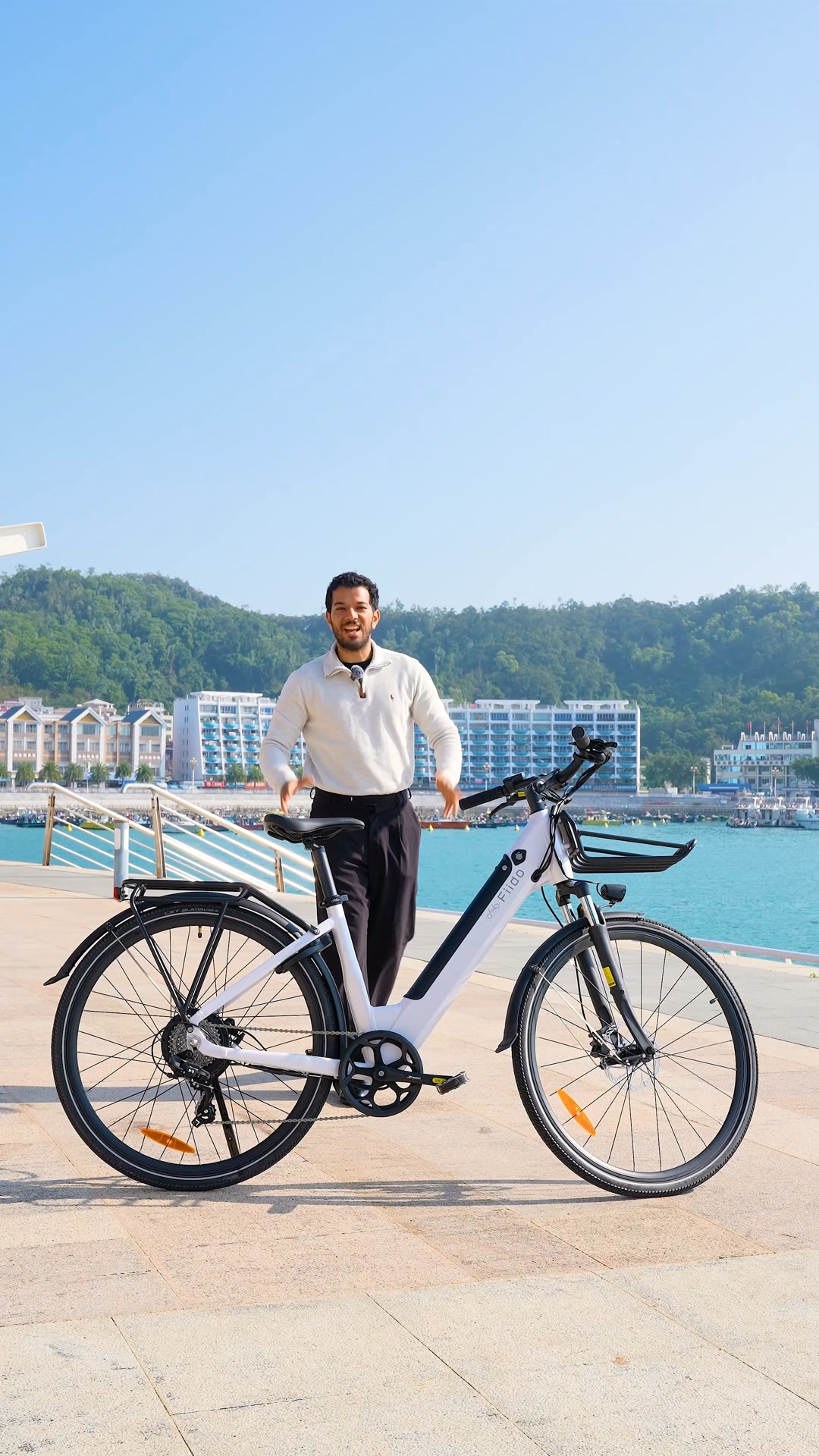 Fiido C11 Bicicleta Electrica