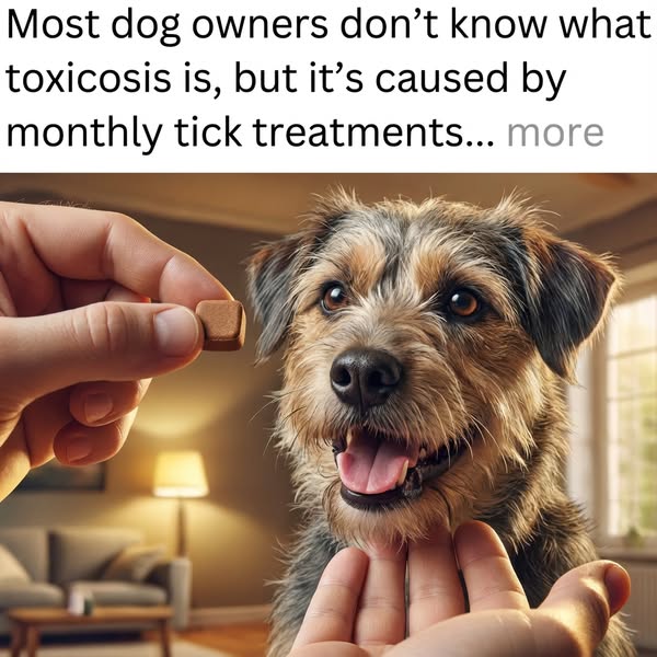 Fleas are hurting your dog — let’s stop it now.