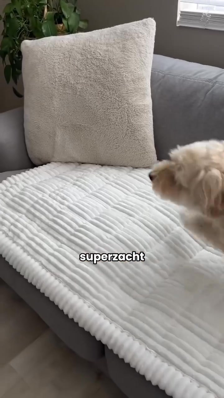 Bescherm je bank, geef je interieur een upgrade