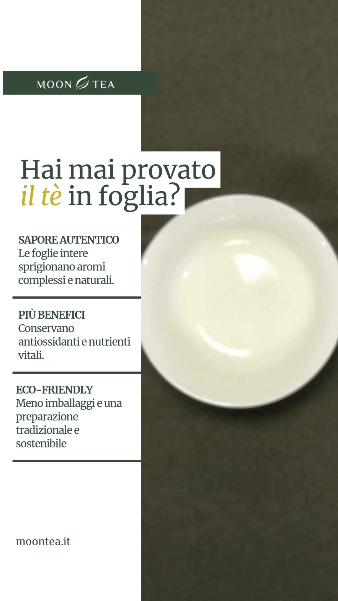 +50 Varietà di Tè