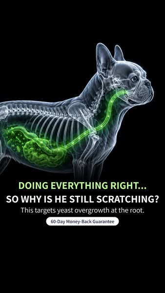 Why Tipaw Stops Yeast Coming Back