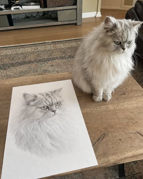 Limited time £6 only!