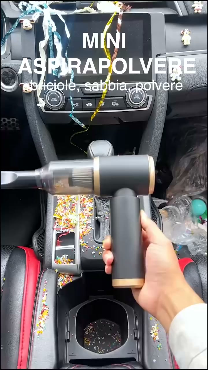 Coche y casa limpios en un momento