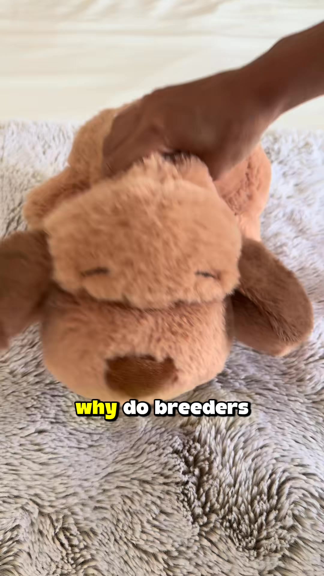 Recommended by trainers, vets, and breeders. Here's why.