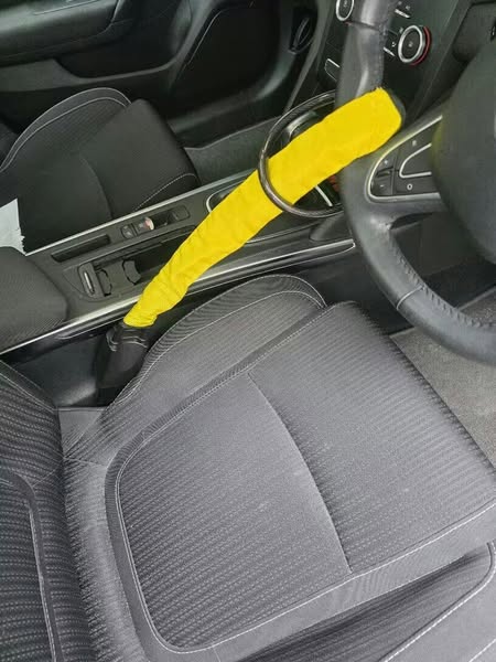Lockt SteerGuard