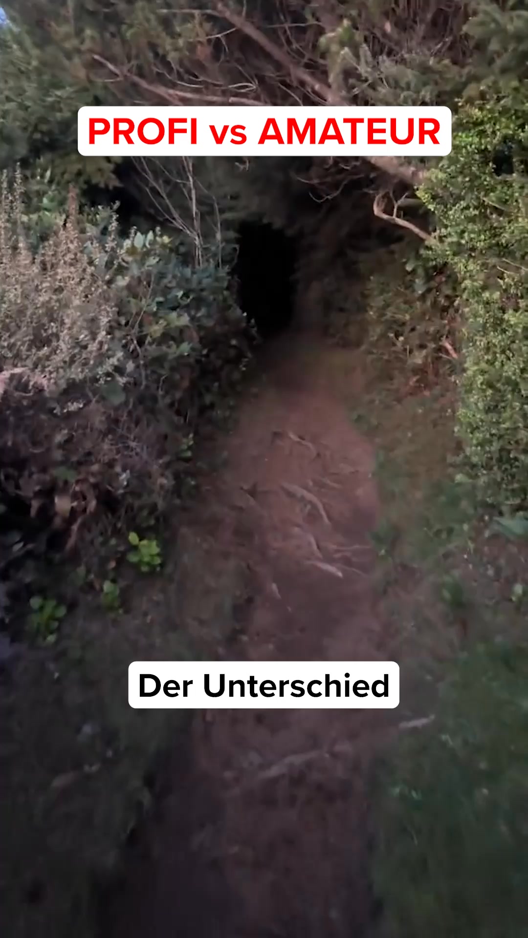 Was 133 Jäger wissen
Alt: 133 können nicht irren