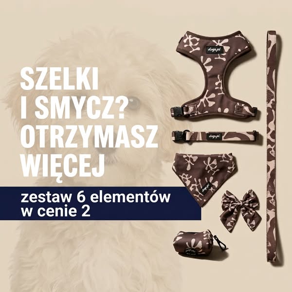 Zestaw dla psa w autorskim wzorze.