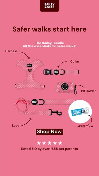 Free Dental Stick + Free Shipping