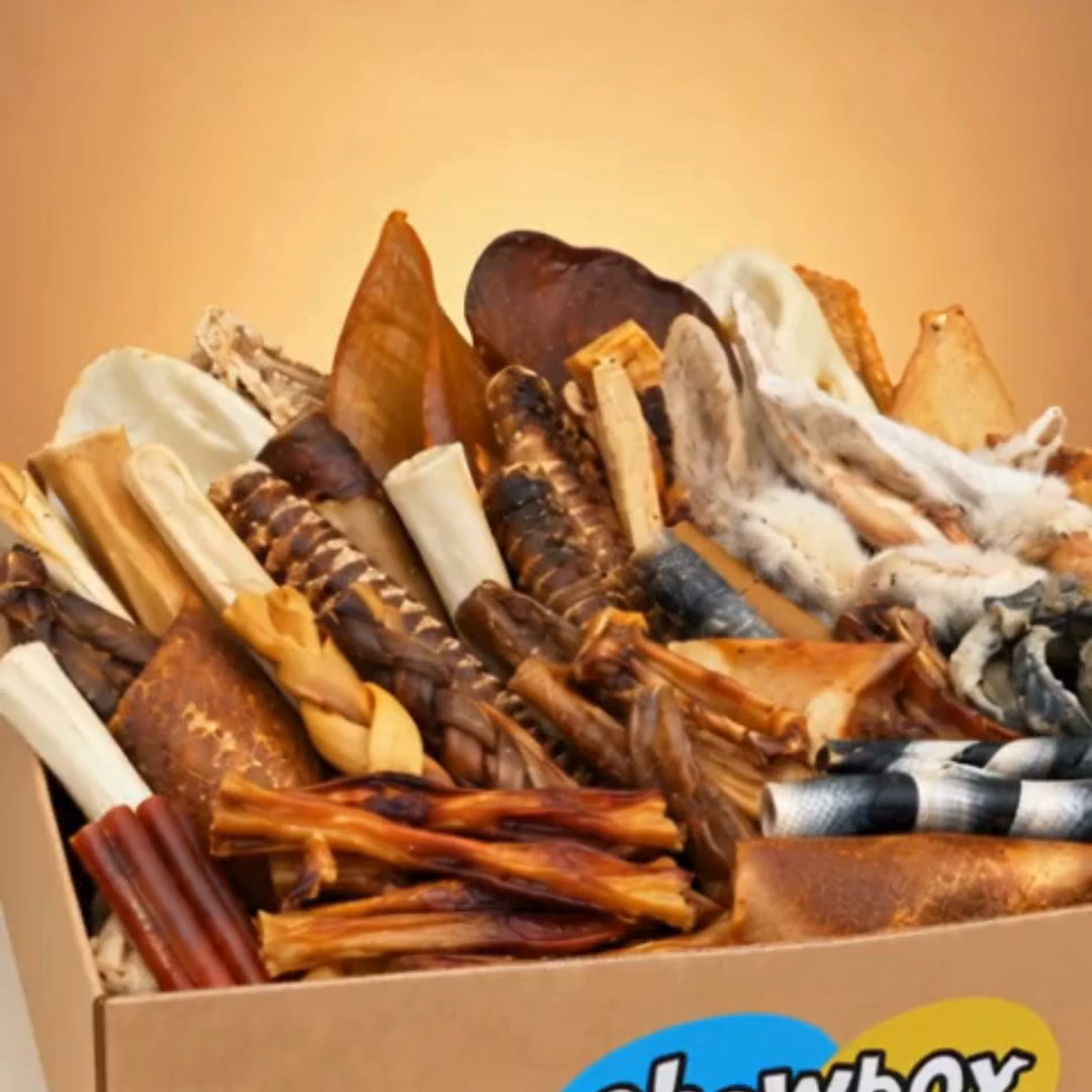 Dog chews and treats