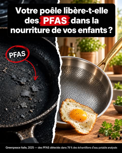 Du titane pur, rien à écailler