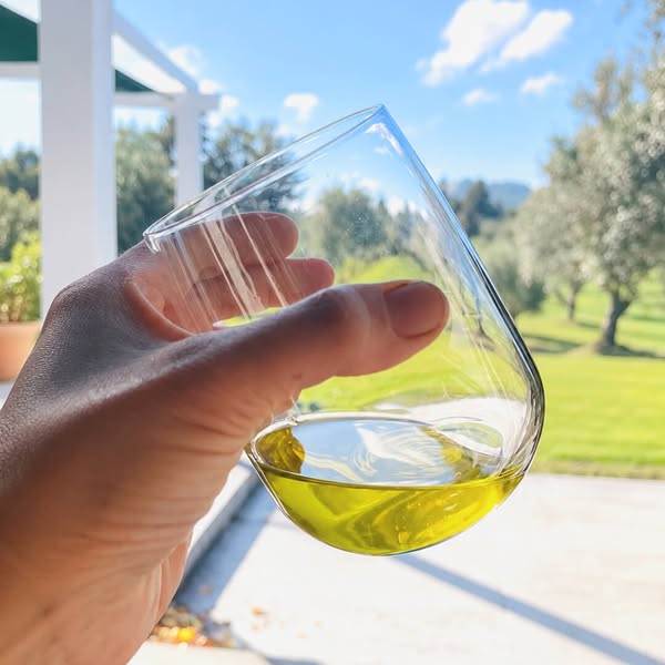 I order olive oil by the case, up to £100. I may have been the easiest mark of all.