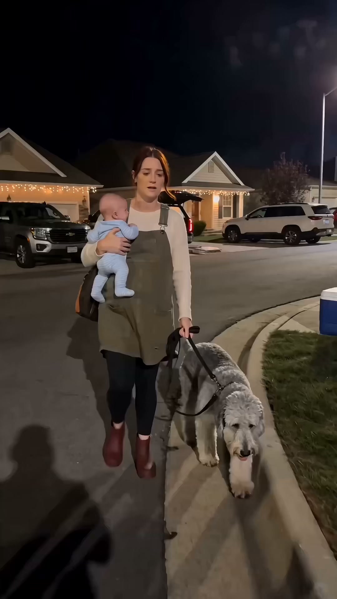Game Changer for Anxious Dogs