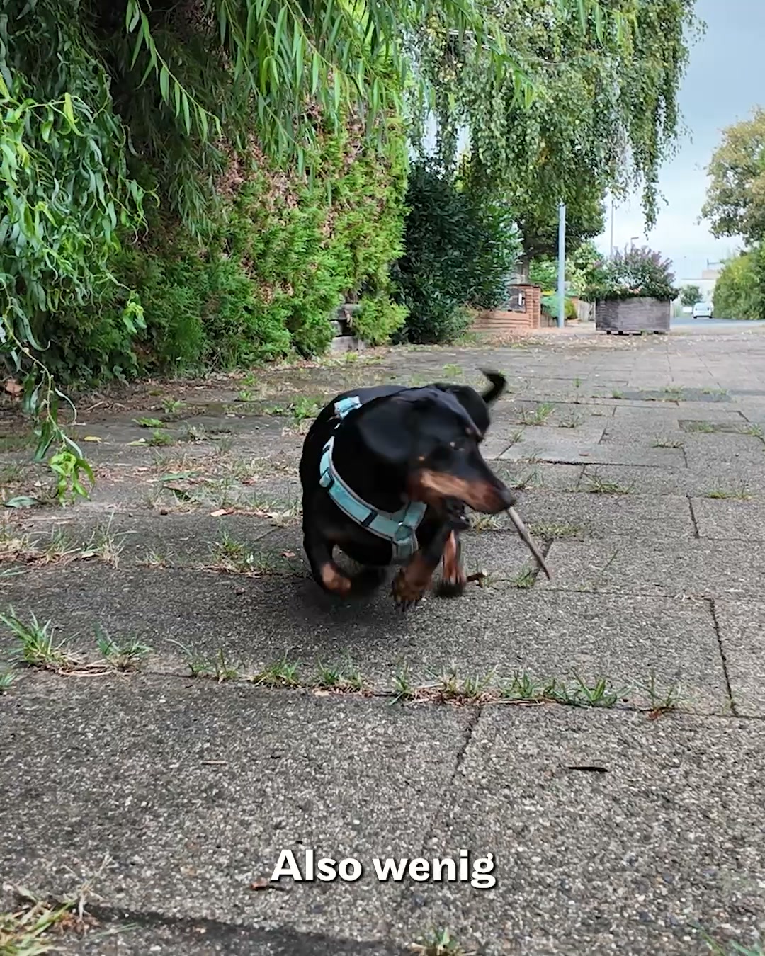 Jetzt 30% Test-Rabatt sichern